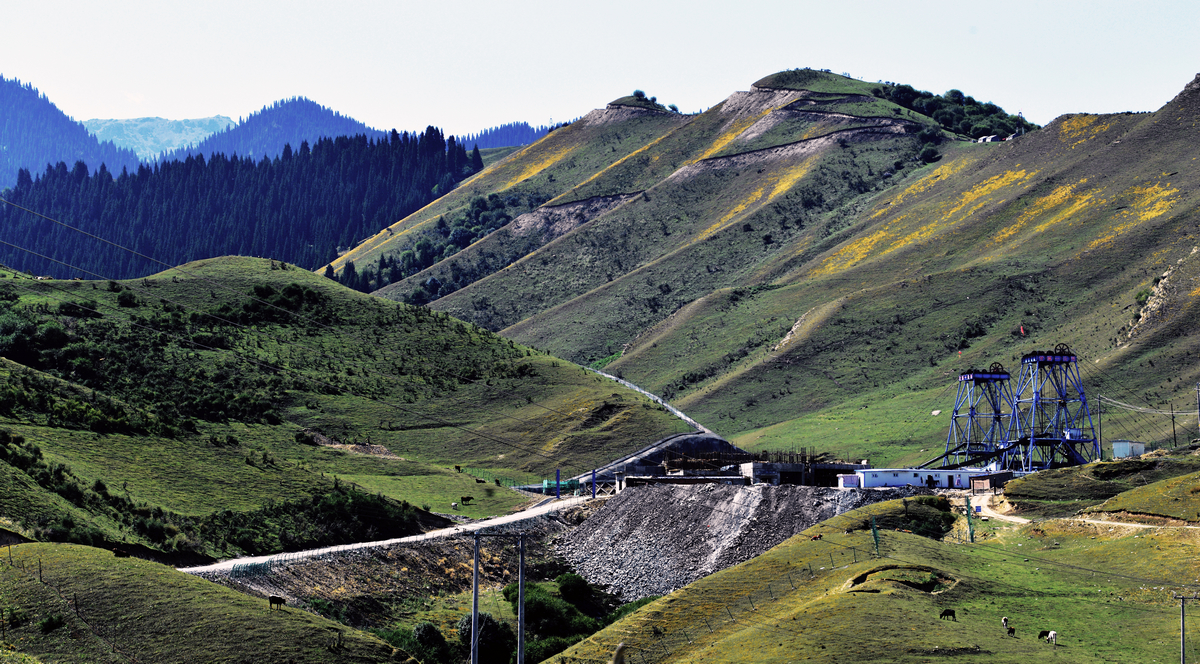 nEO_IMG__DSC0478 - ����.jpg