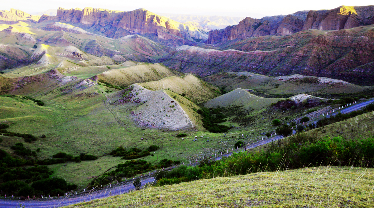 nEO_IMG__DSC0201 - ����.jpg