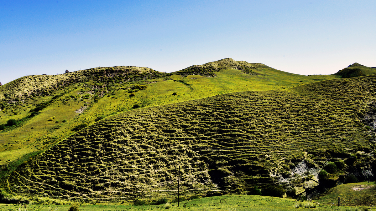 nEO_IMG__DSC0406 - ����.jpg