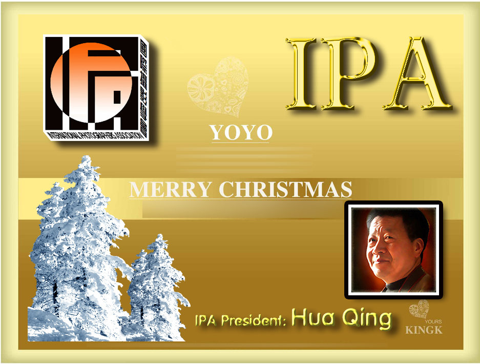 merry christmas  Hua Qing.jpg