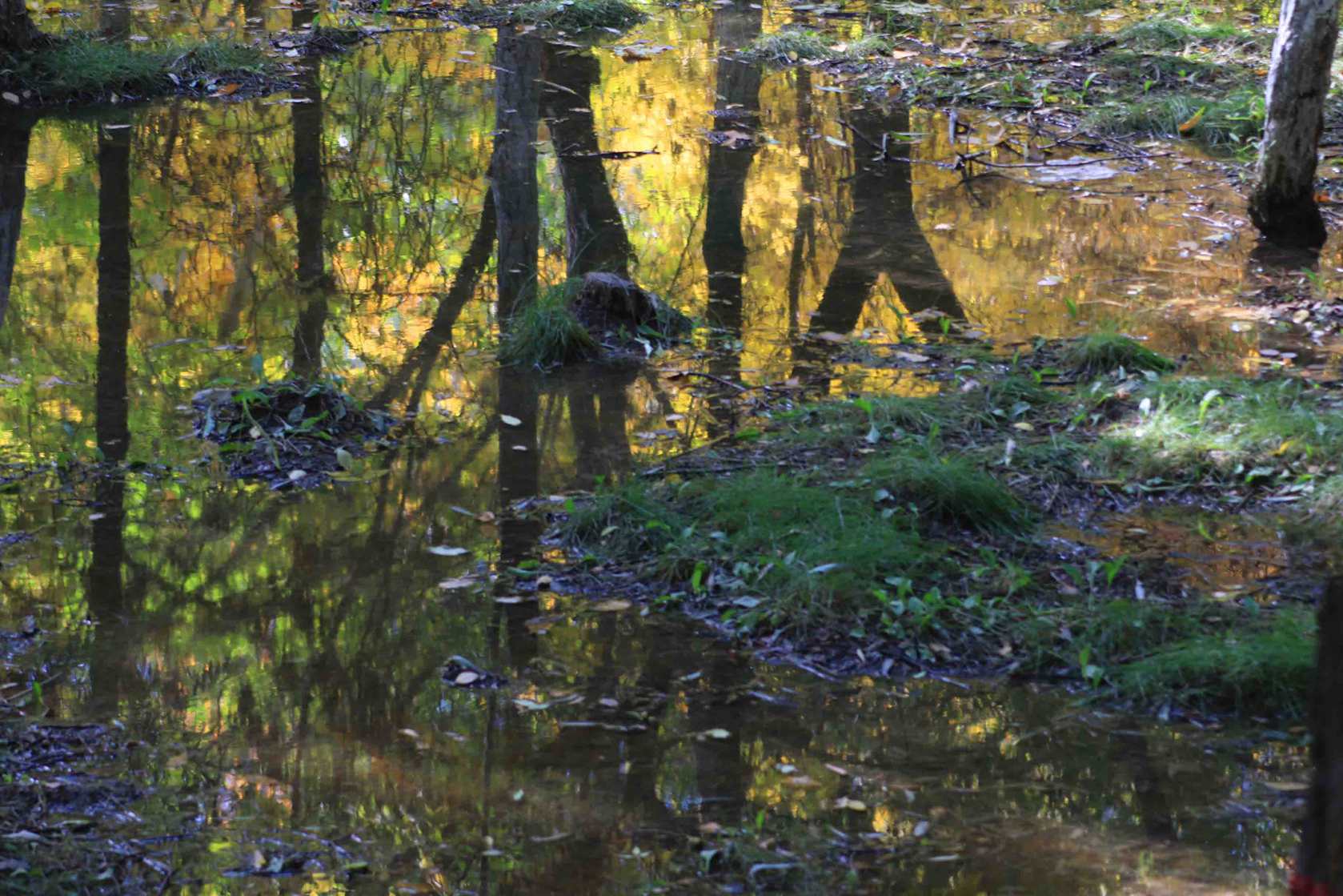 IMG_9990 ����_����.jpg