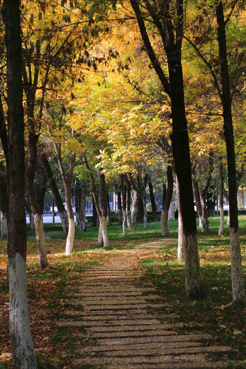 IMG_9993 ����_����.jpg