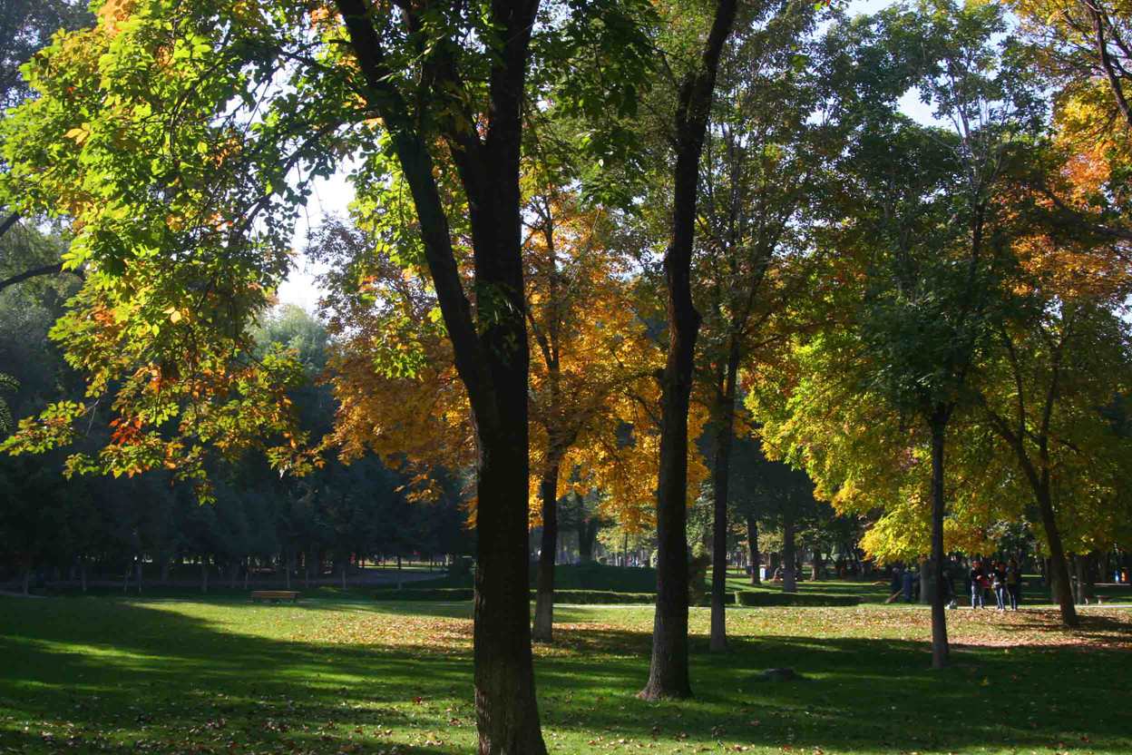 IMG_0854 ����_����.jpg