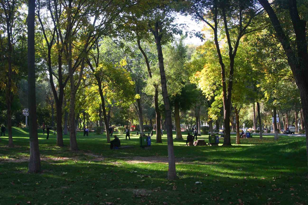 IMG_0889 ����_����.jpg