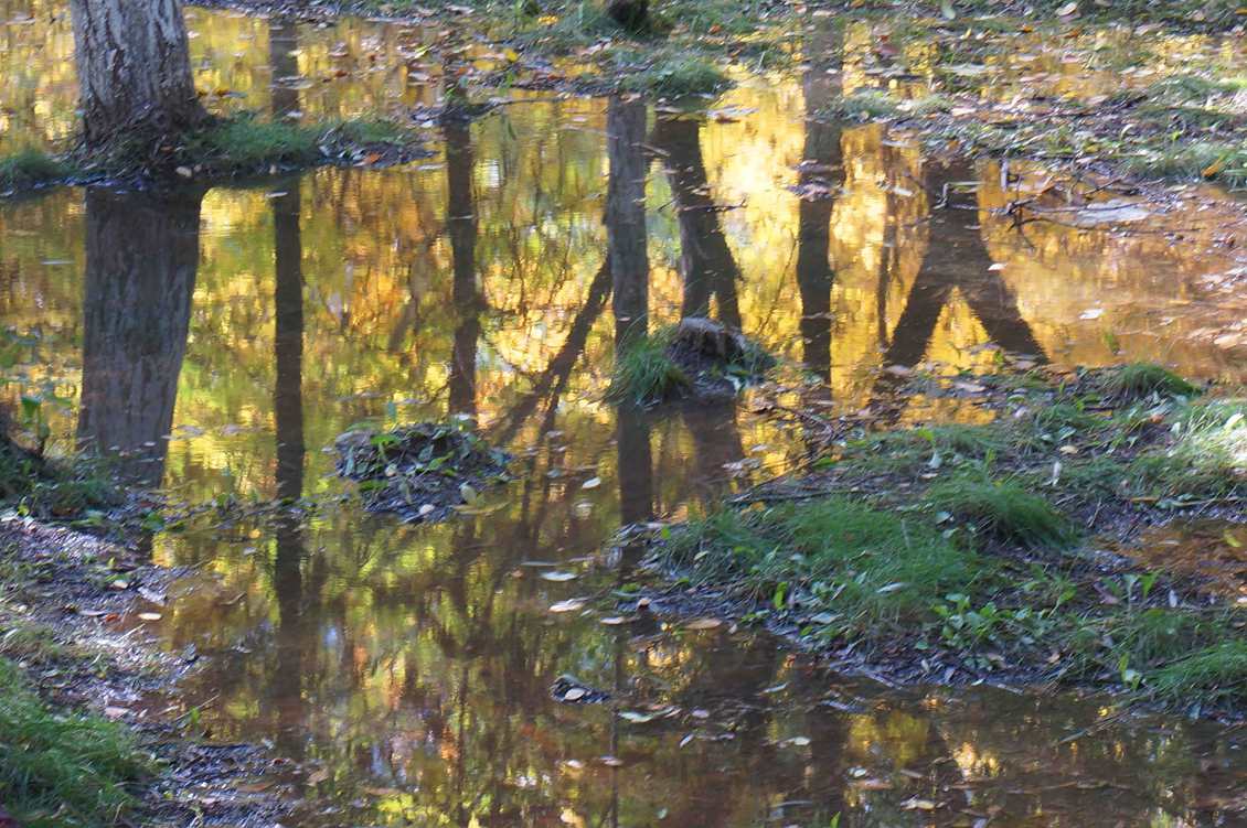 DSC01024 ����_����.jpg