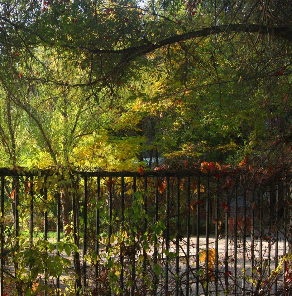 IMG_1285 ����_����.jpg