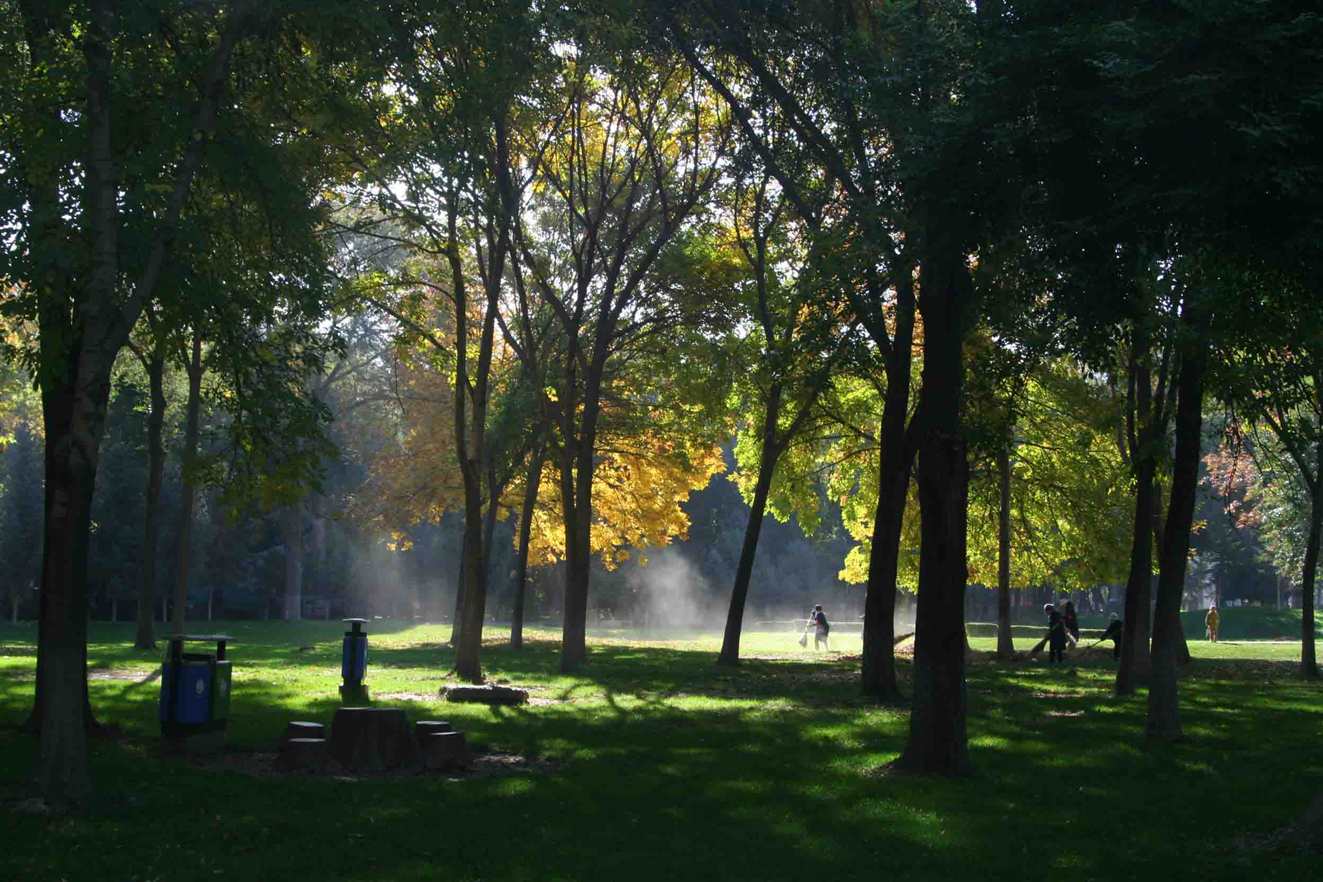 IMG_0858 ����_����.jpg