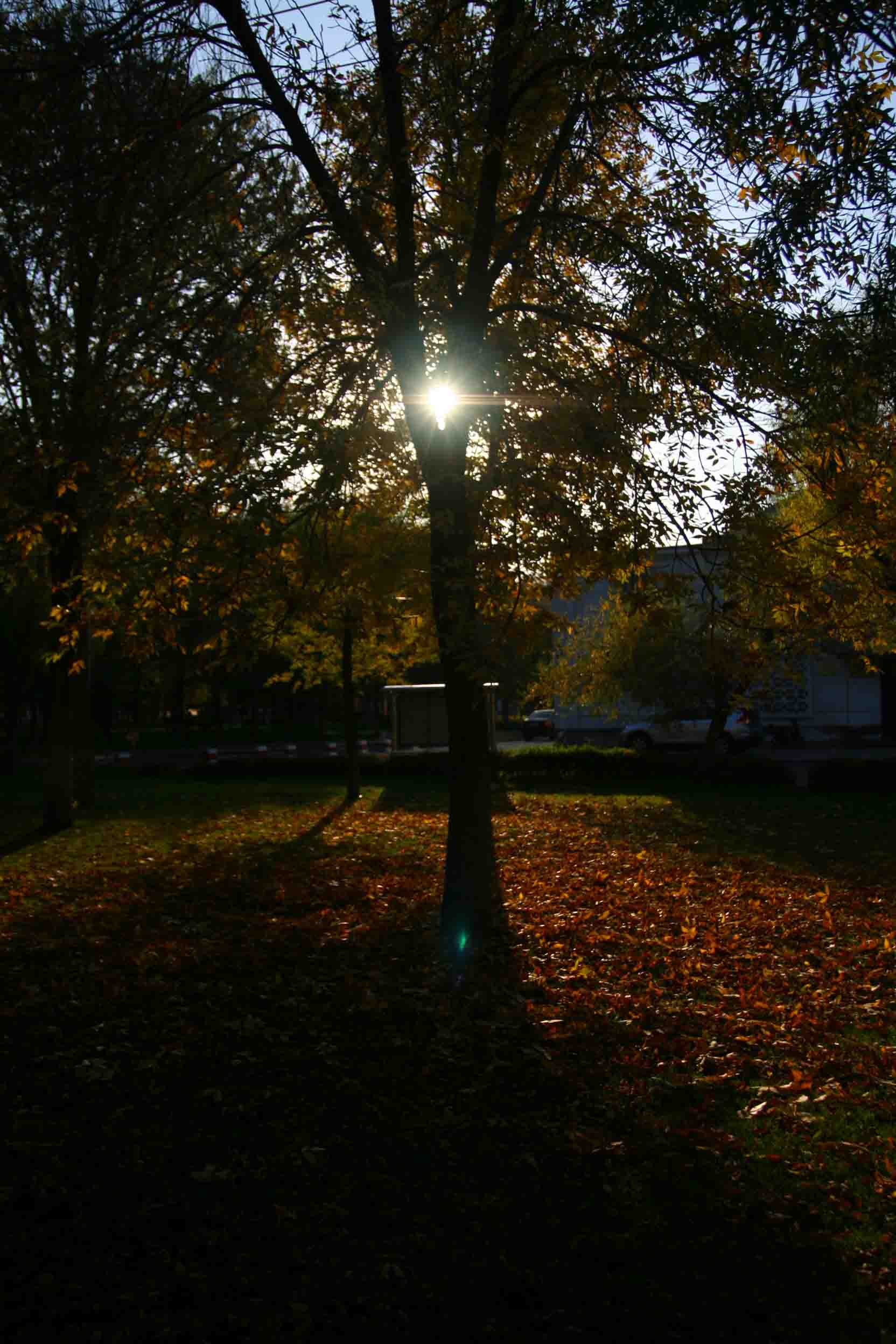 IMG_1164 ����.jpg