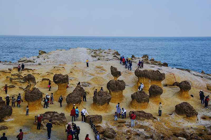 2014��12��13��̨�� a20312.jpg