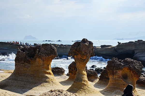 2014��12��13��̨�� a22512.jpg