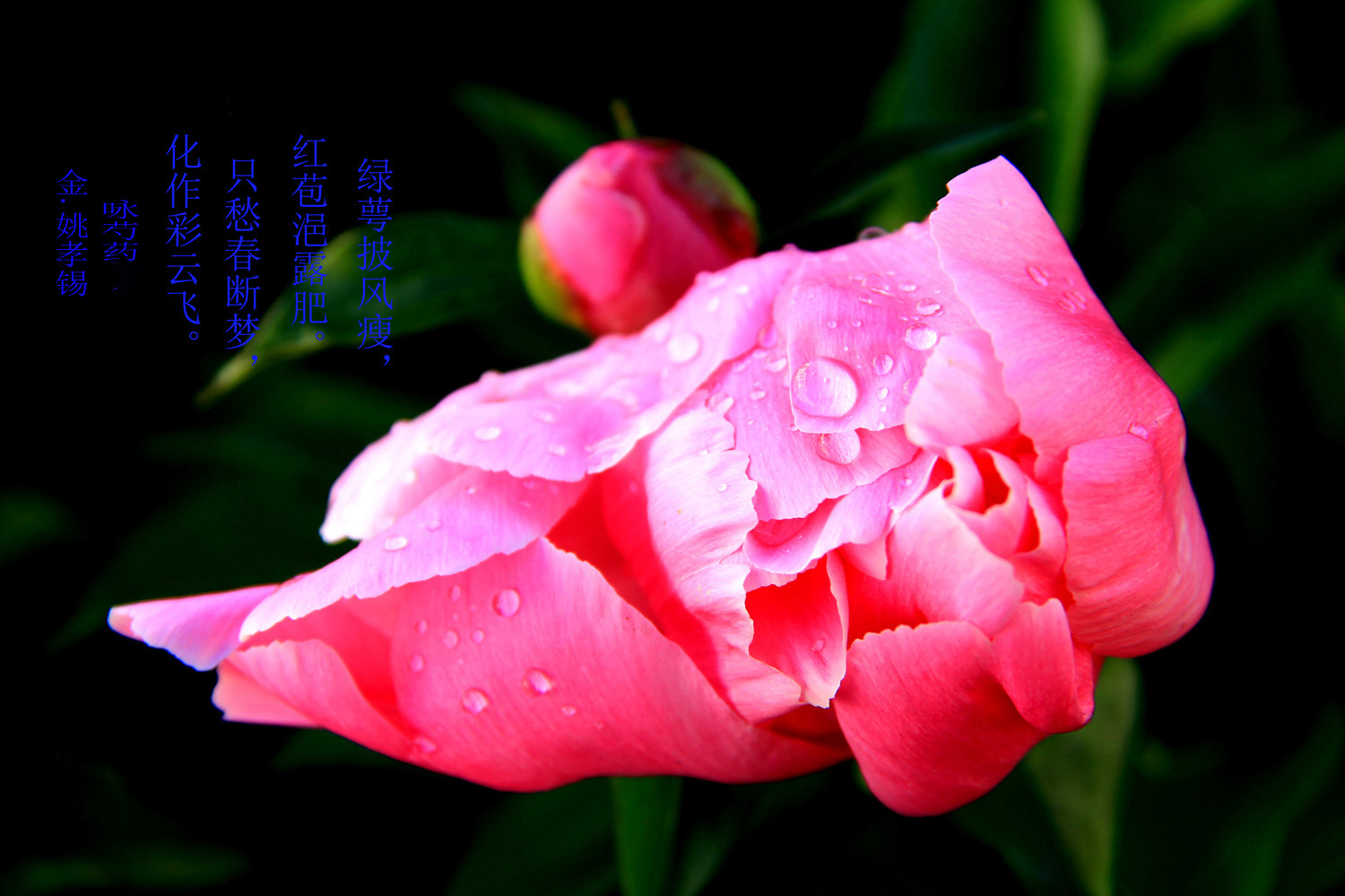 ������ҩ��һ�� (1).jpg