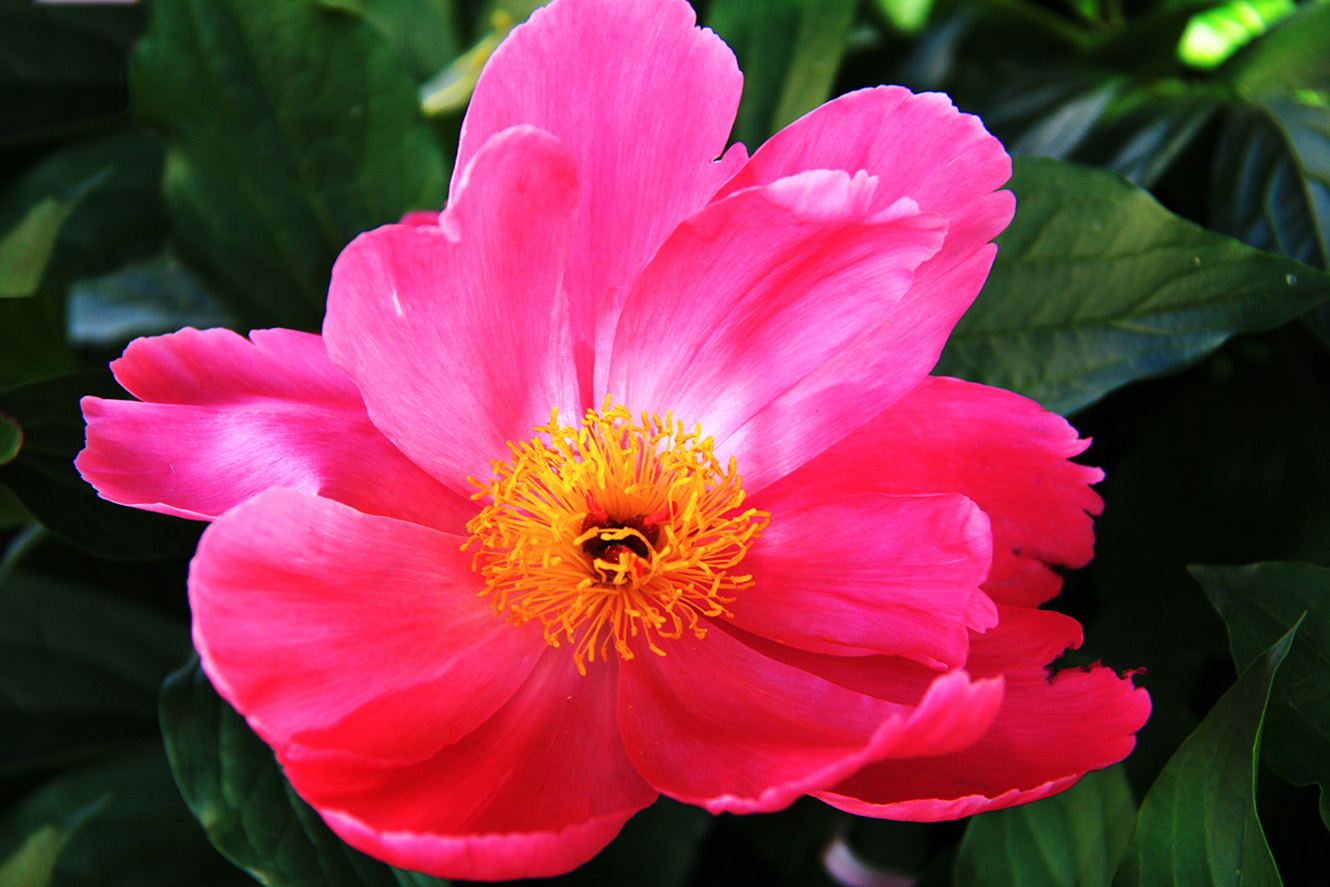 ������ҩ��һ�� (2).jpg