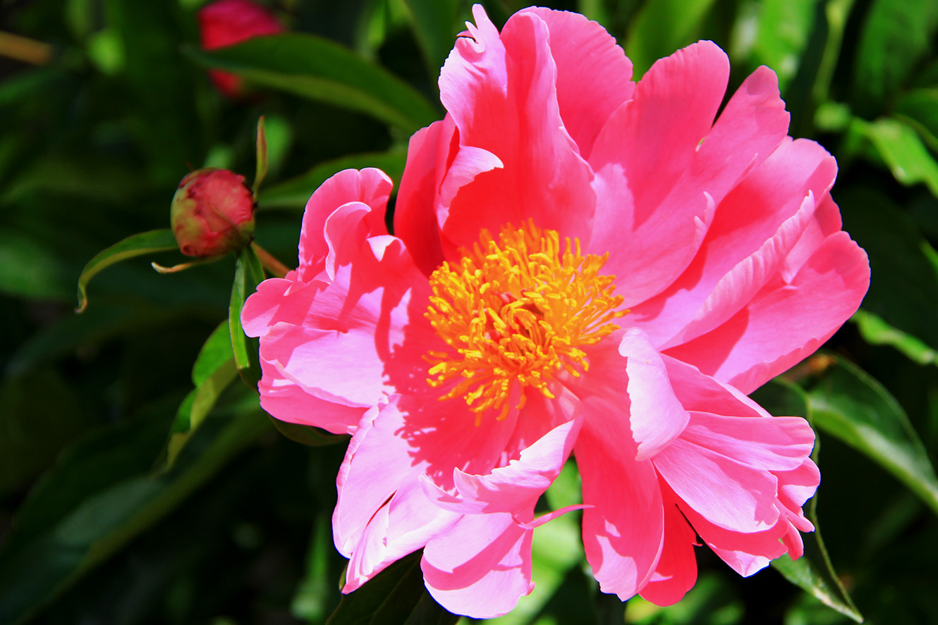 ������ҩ��һ�� (3).jpg