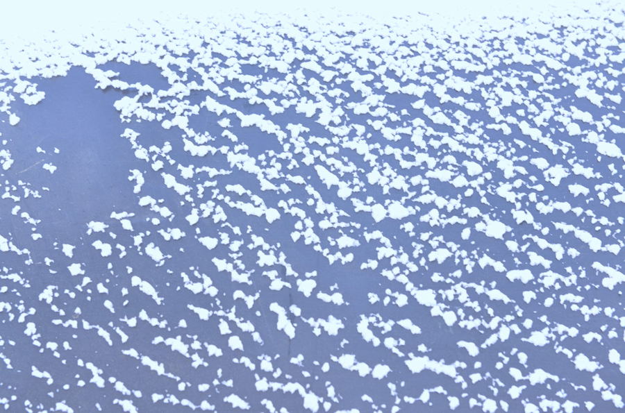 ����������