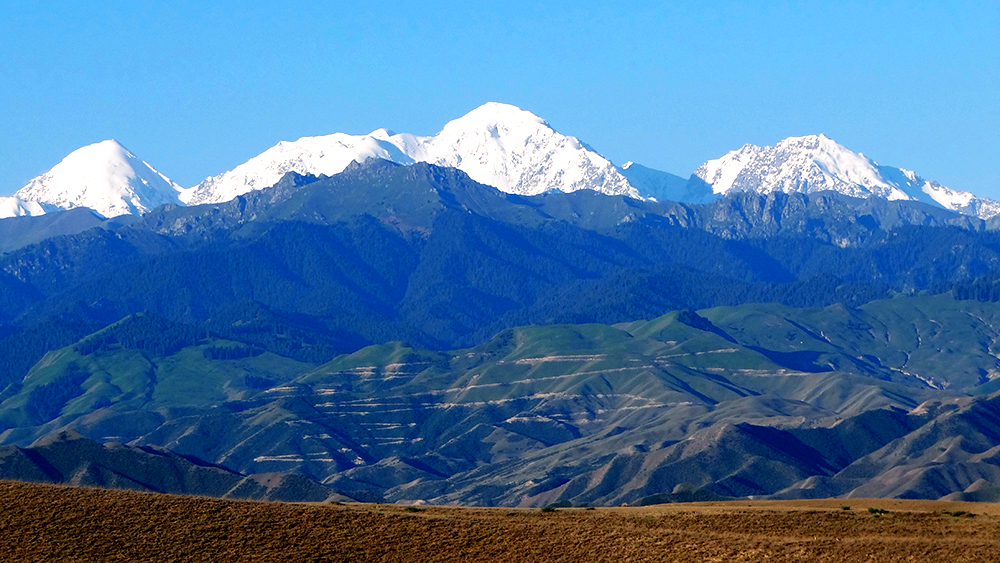 ����˹�ӹ�һ���� (60)����.jpg