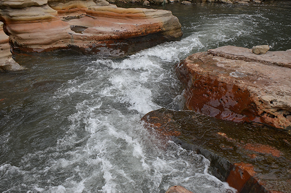 2014��12��18�����ӹ� a05312.jpg