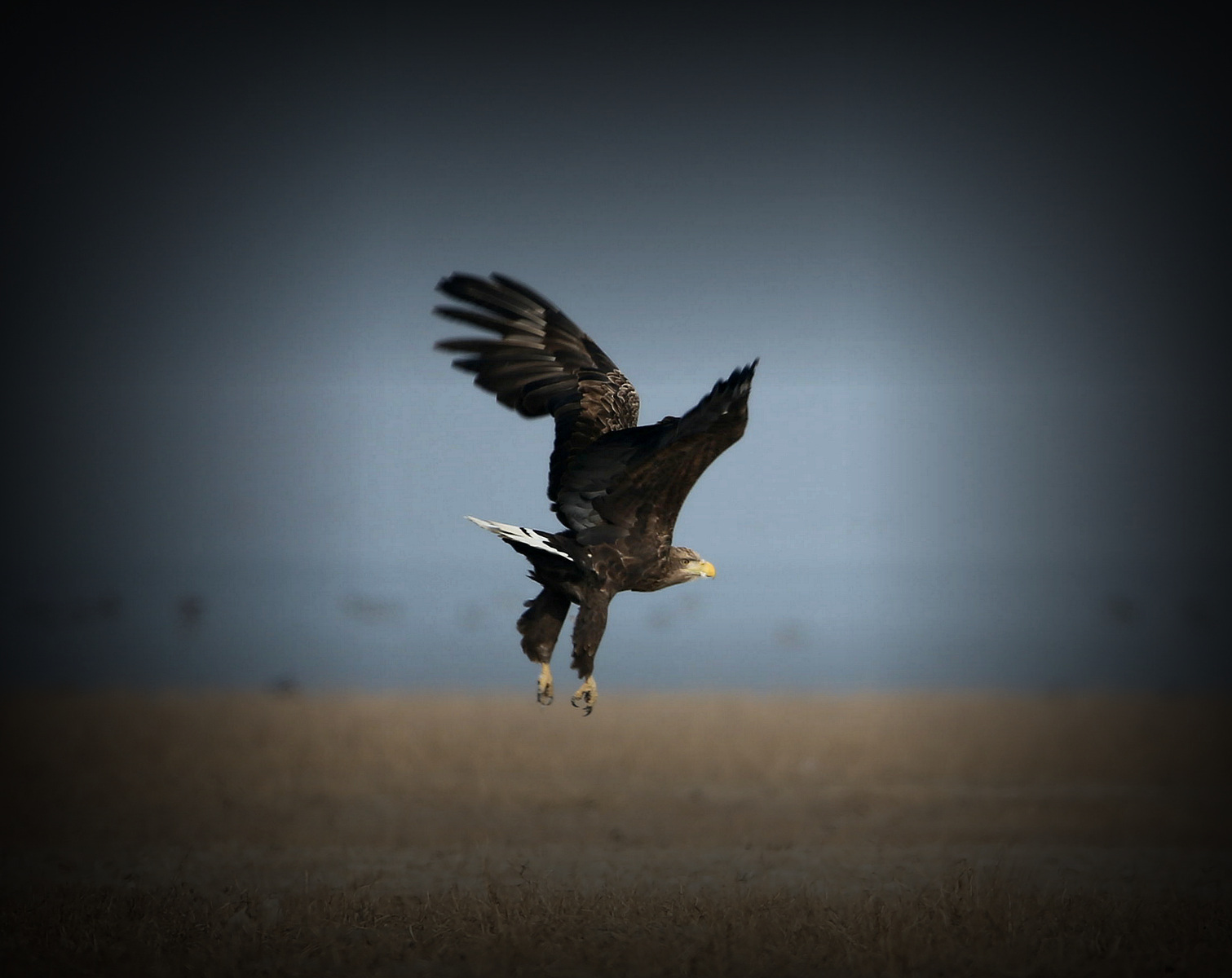 2014_11_22_IMG_��β���� 1.jpg