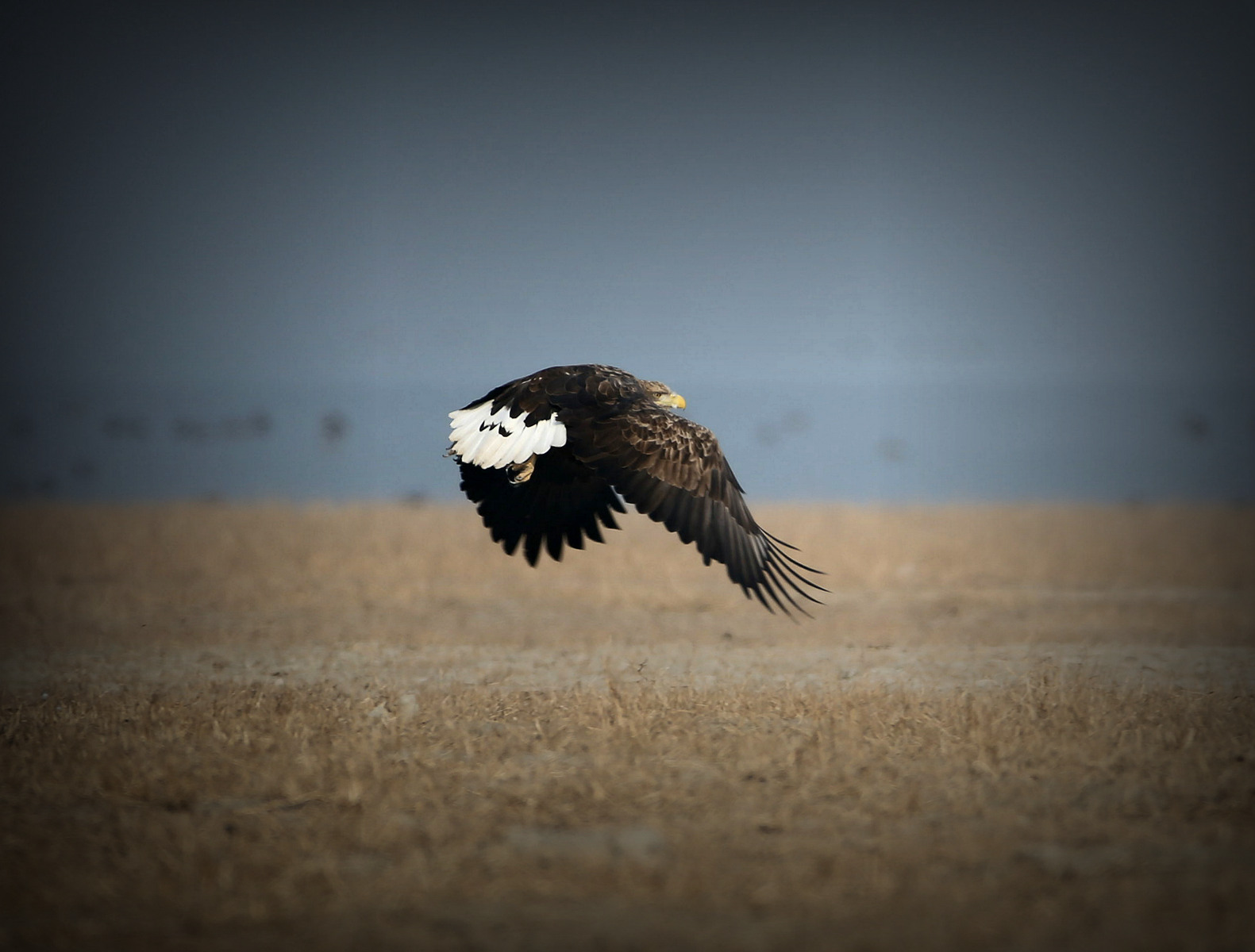 2014_11_22_IMG_��β���� 2.jpg