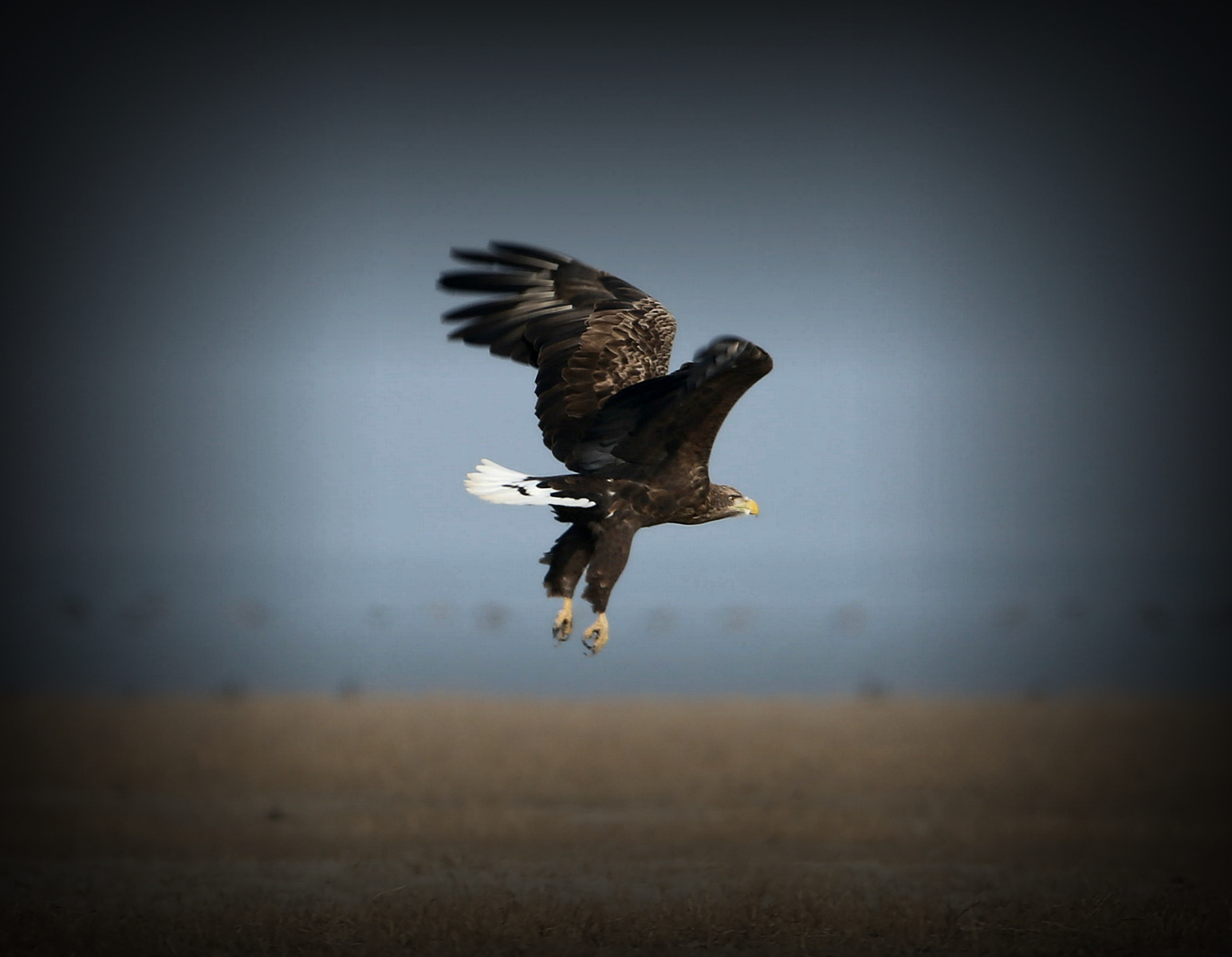 2014_11_22_IMG_��β���� 3.jpg