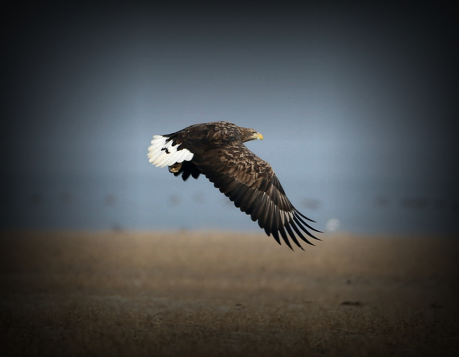 2014_11_22_IMG_��β���� 4.jpg