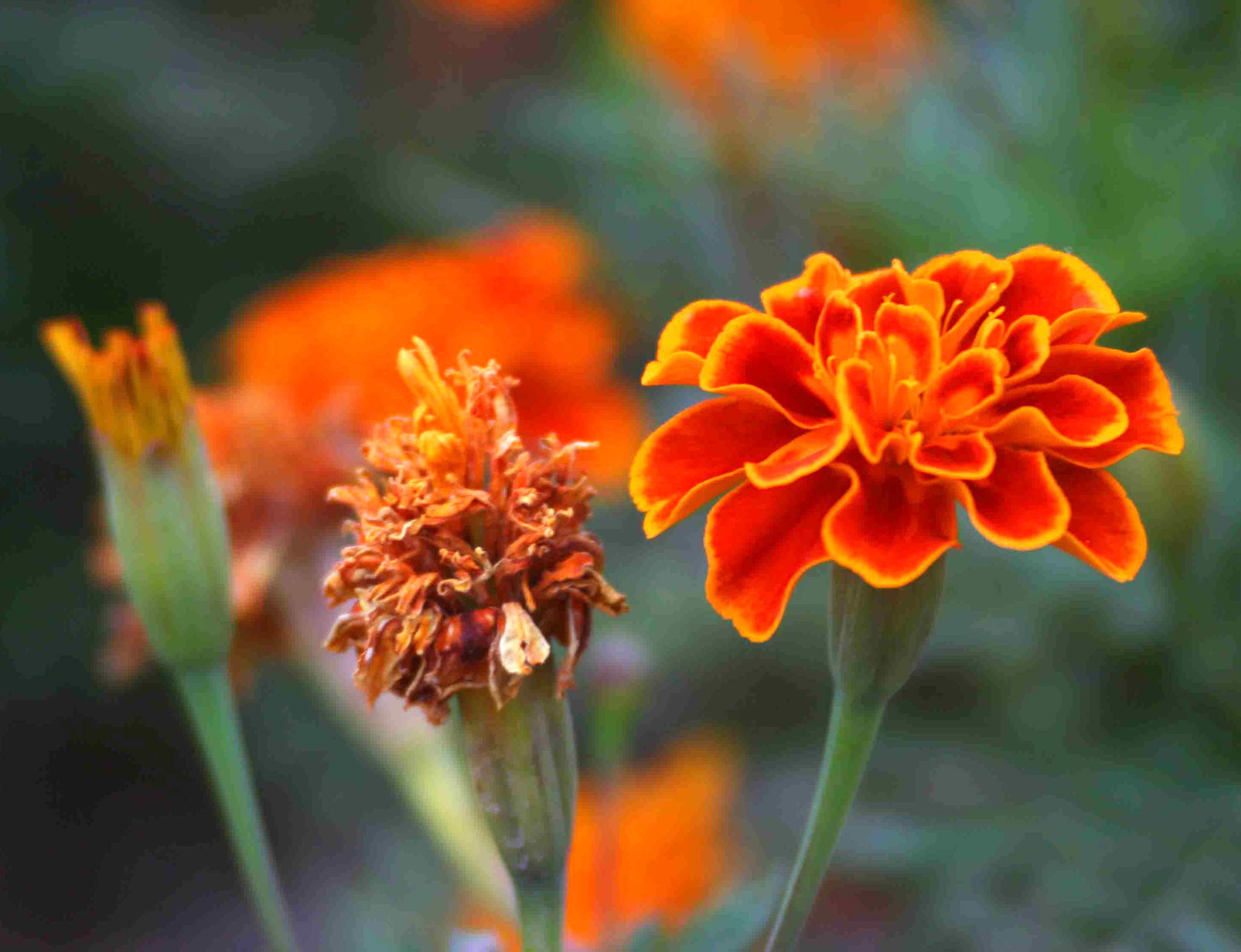 ���ĳɳ����̡���һ�����˸��Ƕȡ�