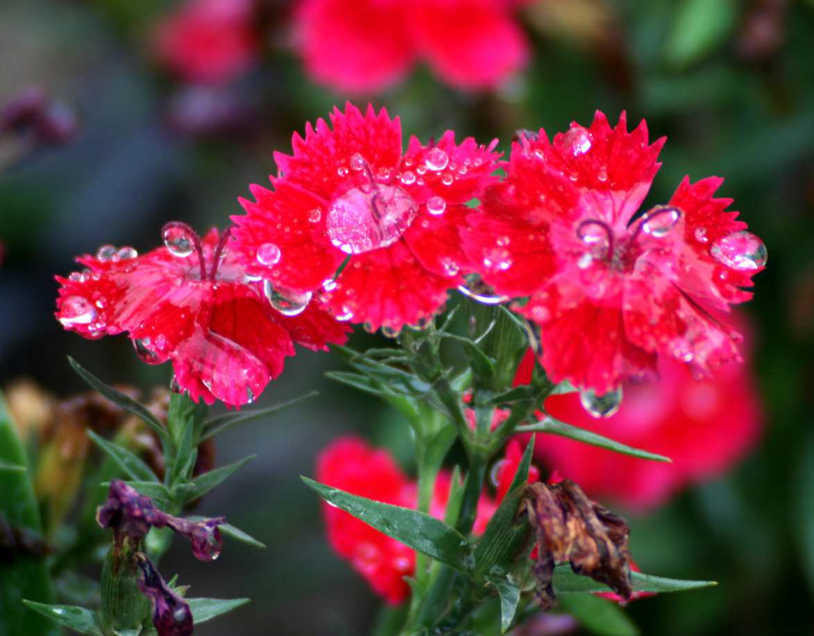 2014.7.7�� 003 (14)_����.jpg