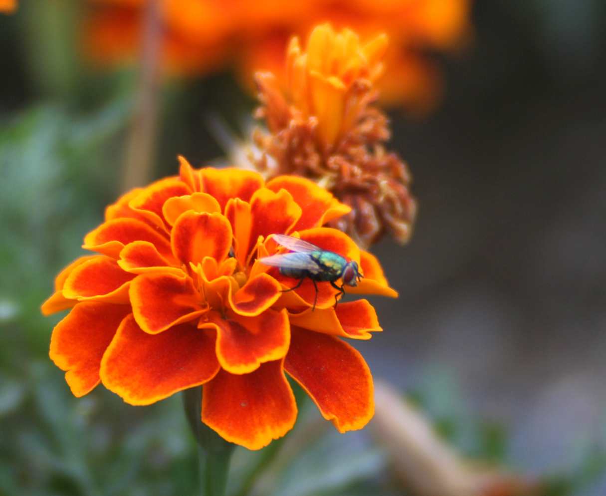 2014.7.7�� 003 (19)_����.jpg