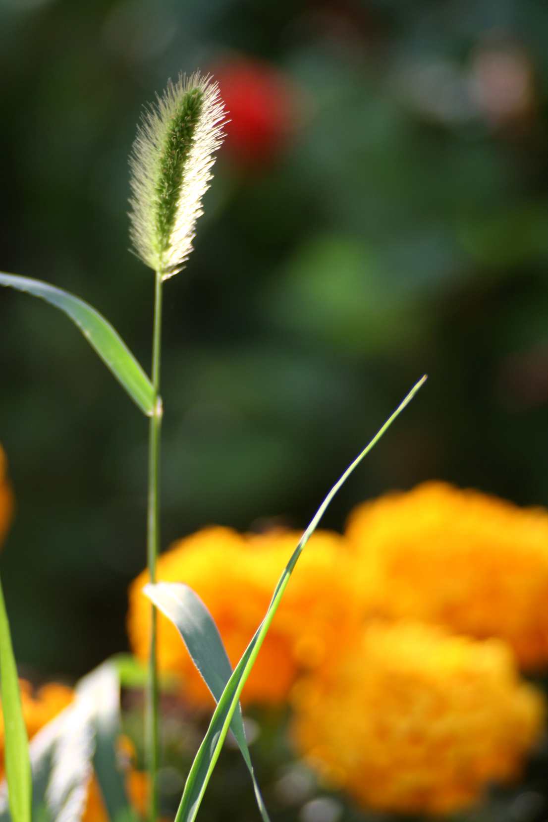 2014.7.7�� 003 (45)_����.jpg