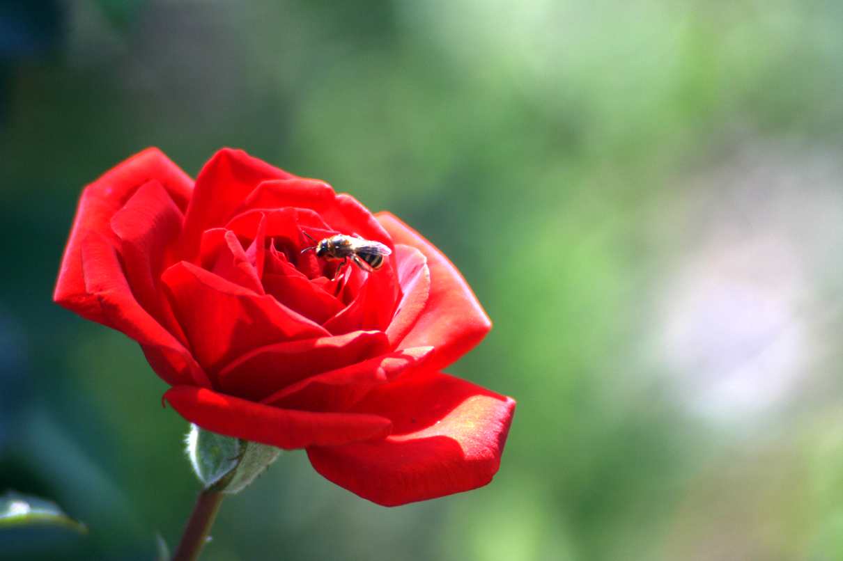 2014.7.7�� 003 (68)_����.jpg