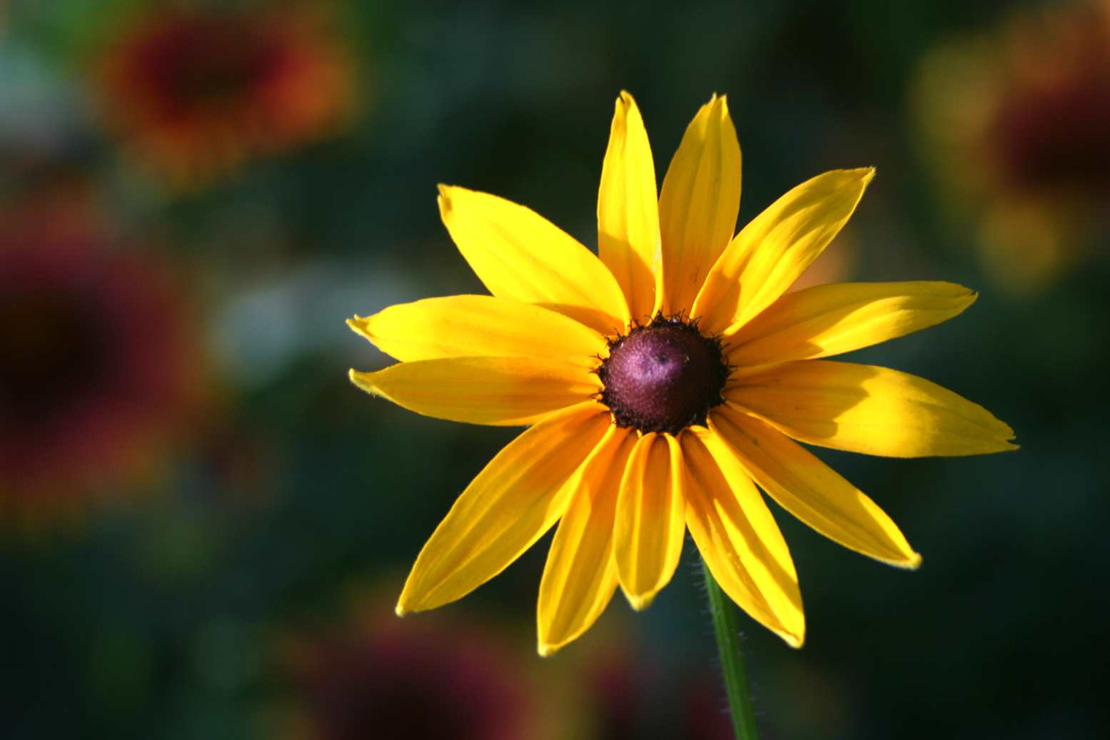 2014.7.7�� 003 (185)_����.jpg