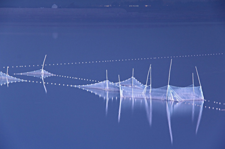 ҹĻ��������˿