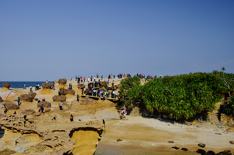 2014��12��13��̨�� a2581.jpg