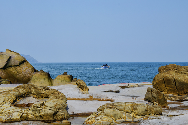 2014��12��13��̨�� a2221.jpg