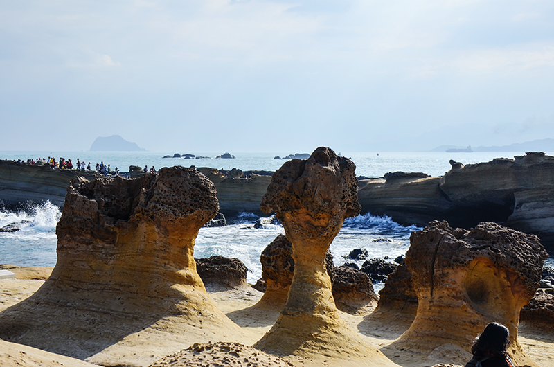 2014��12��13��̨�� a2251.jpg