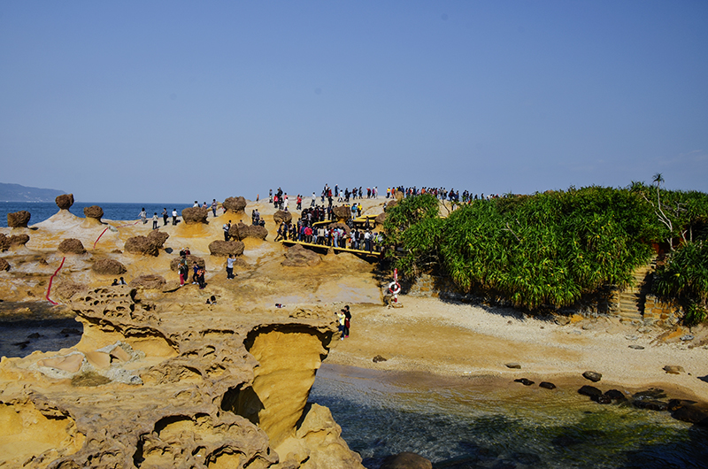 2014��12��13��̨�� a2571.jpg