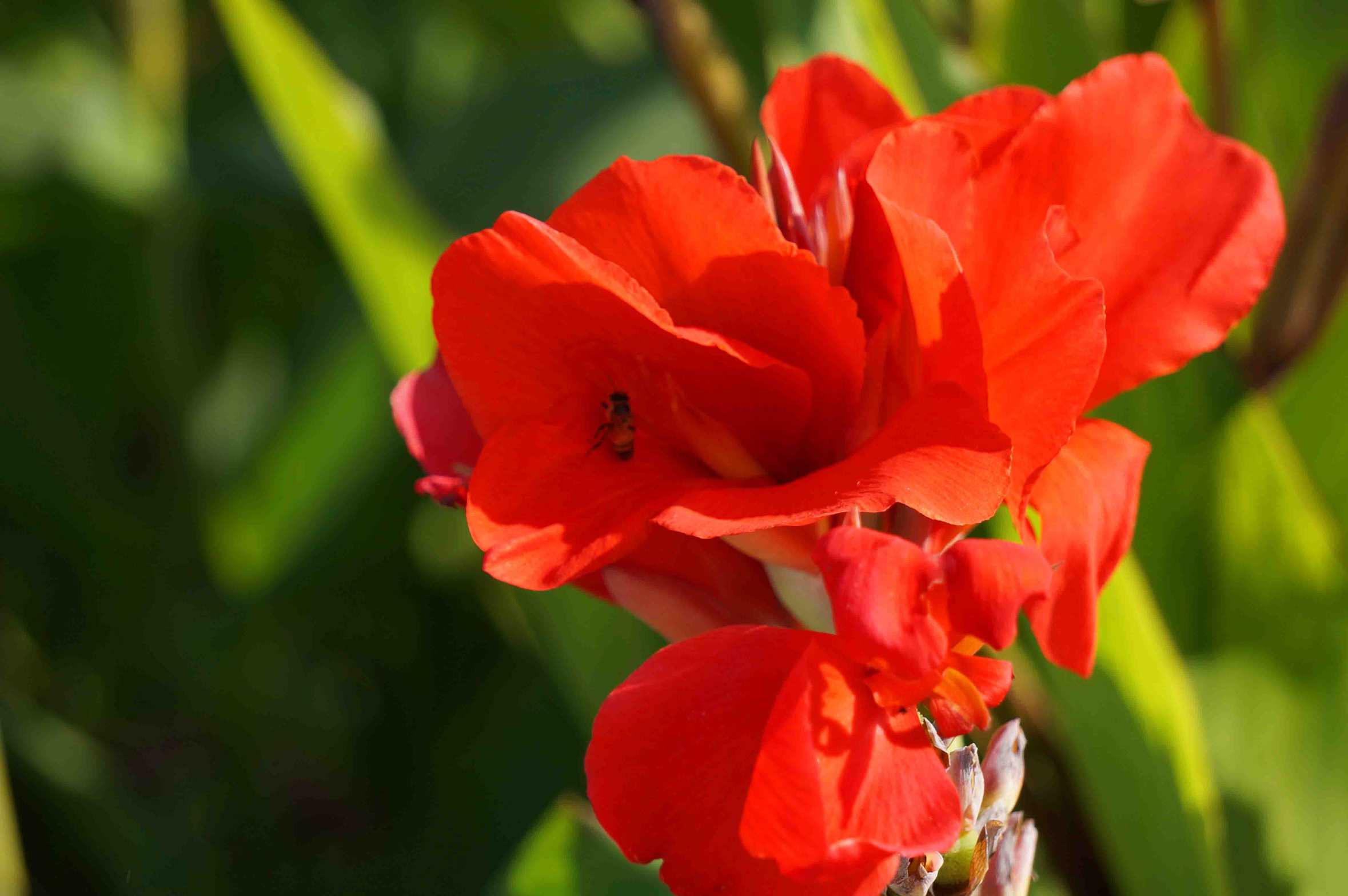 DSC00867 ����_����.jpg