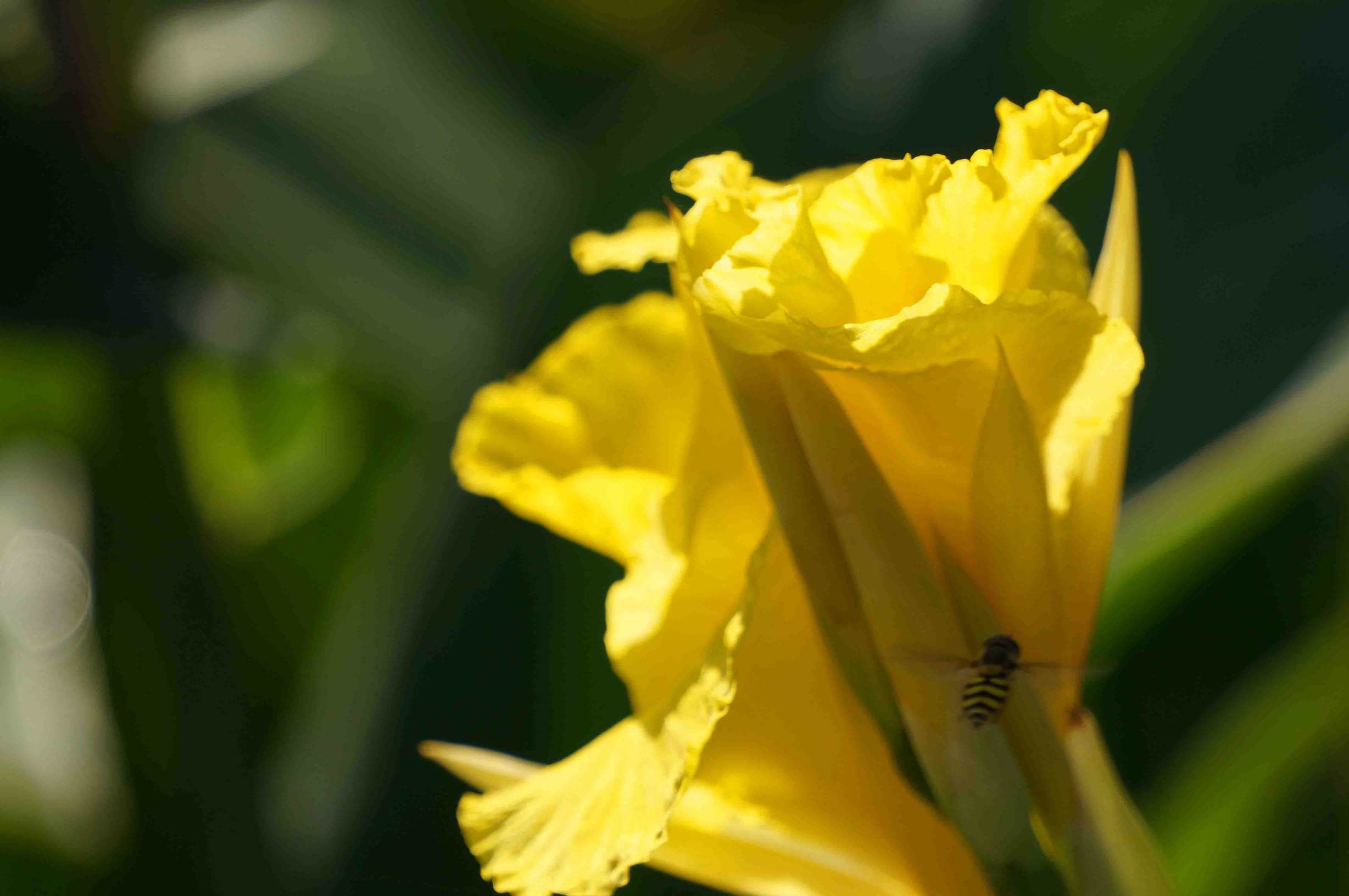 DSC00872 ����_����.jpg