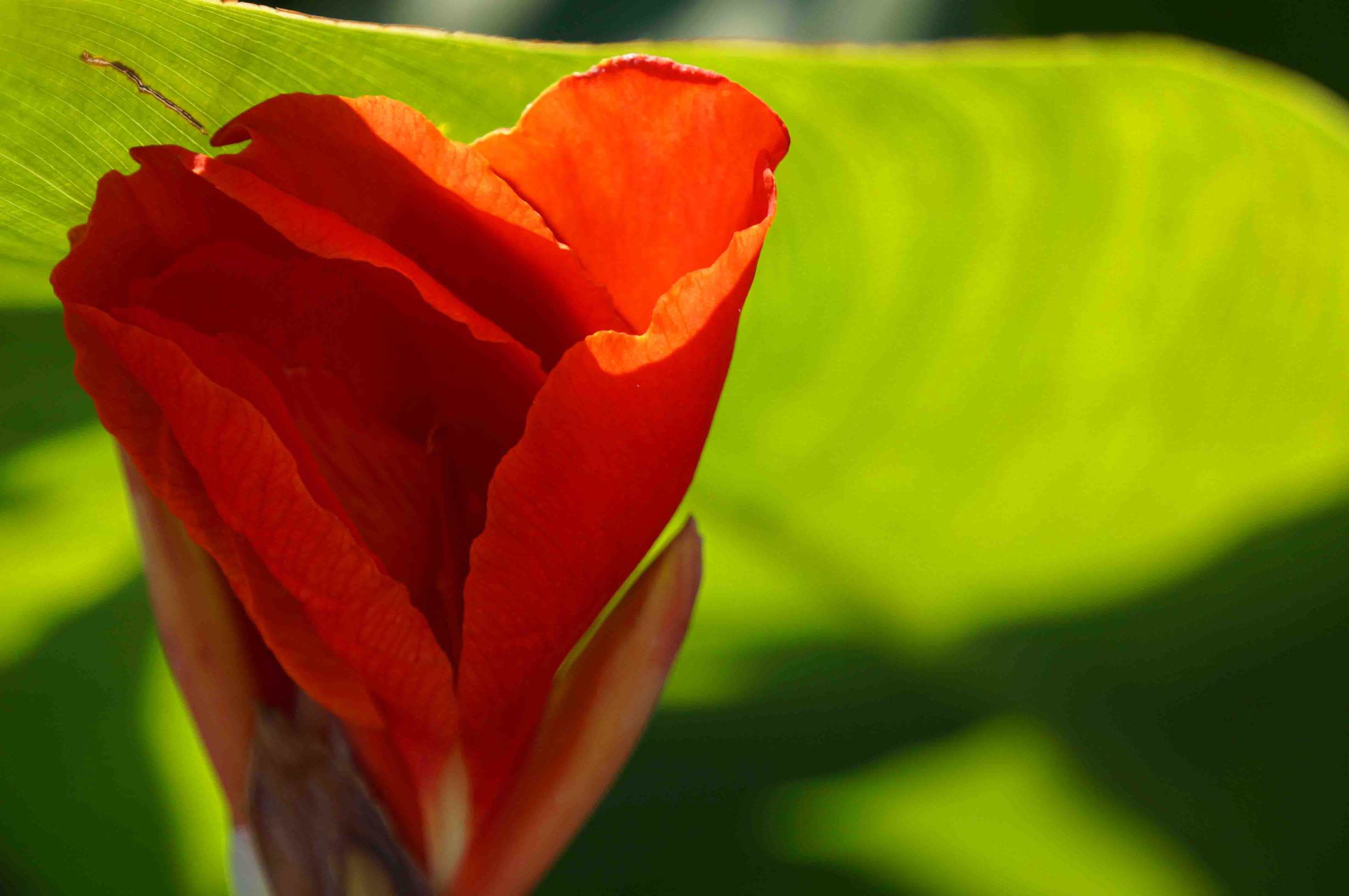 DSC00877 ����_����.jpg