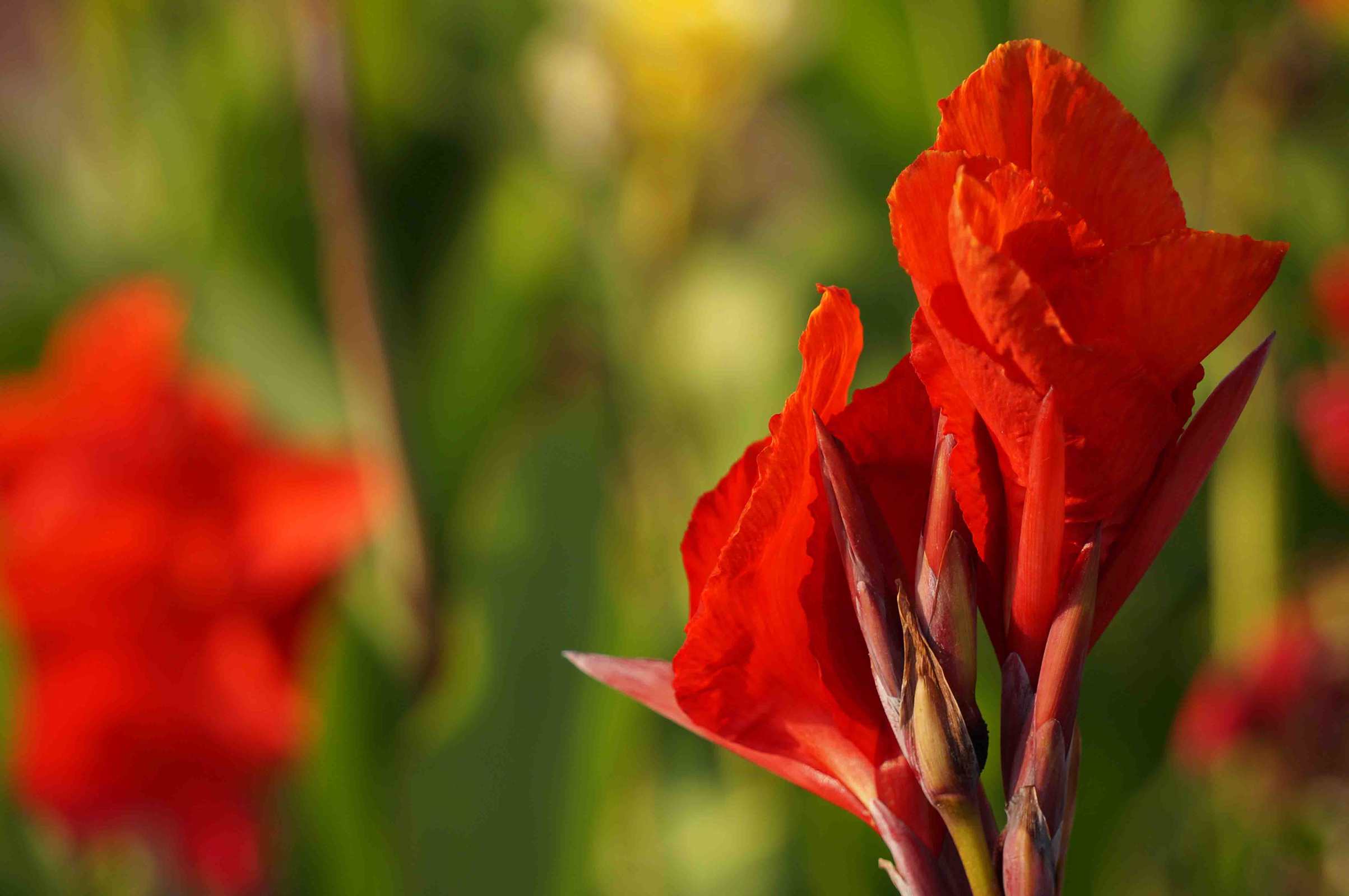 DSC00931 ����_����.jpg