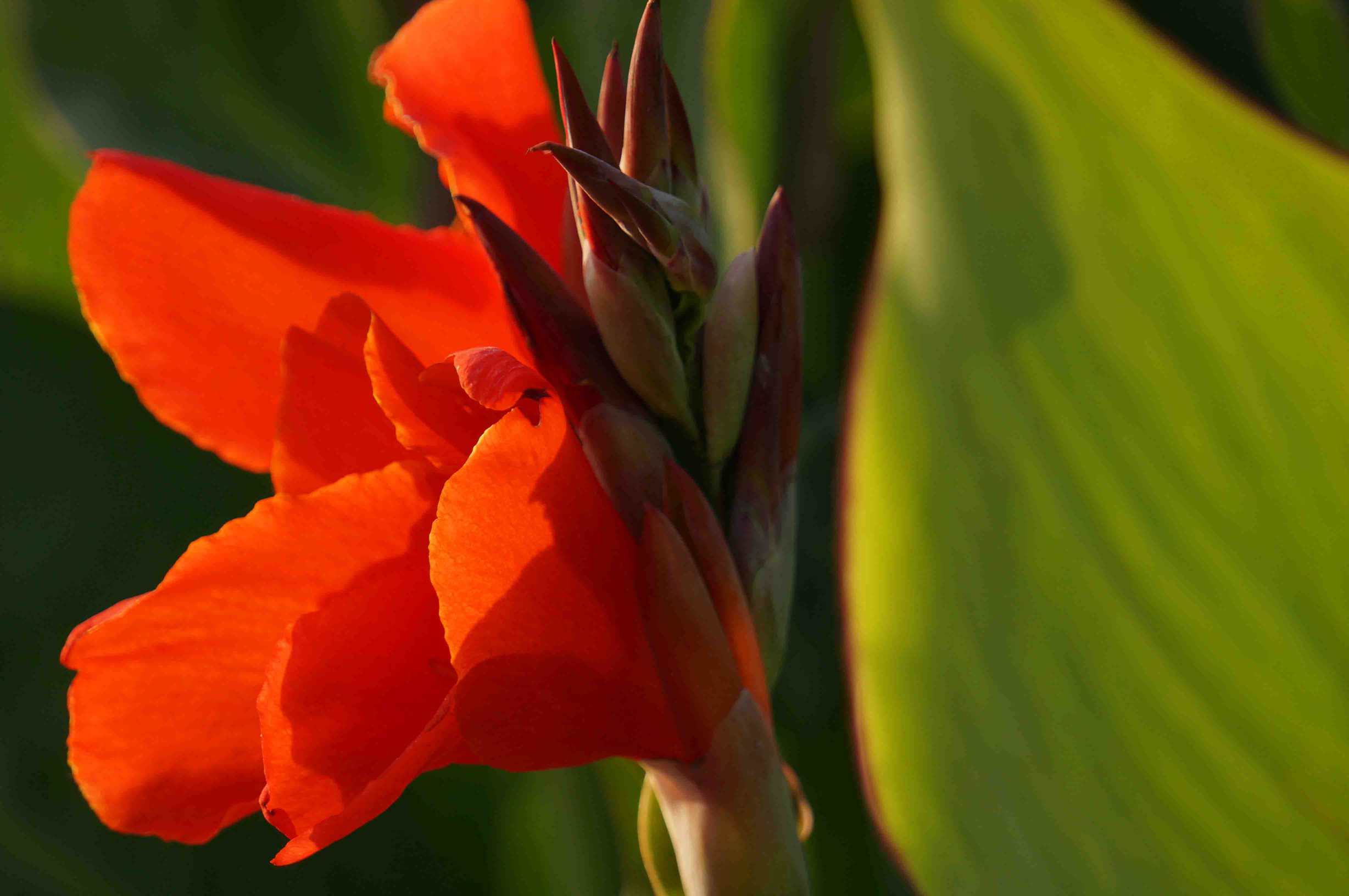 DSC00938 ����_����.jpg