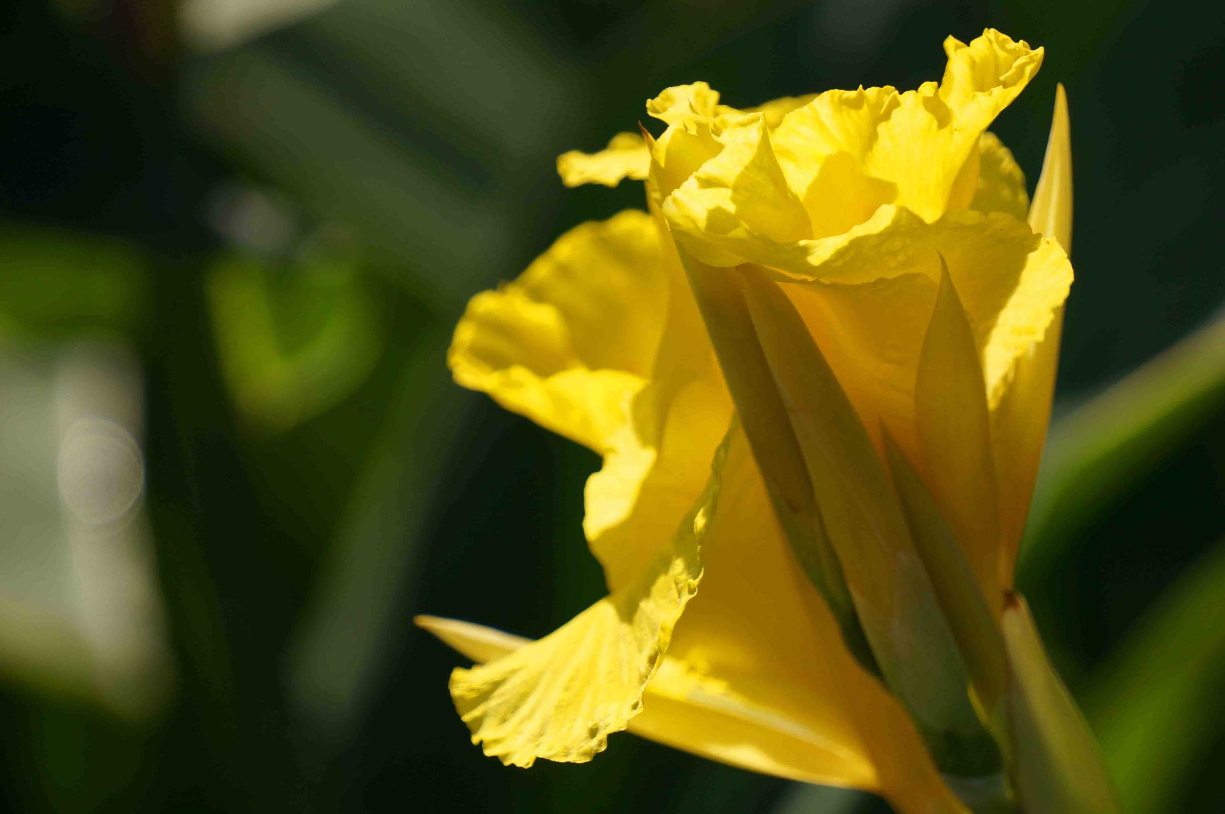 DSC00874 ����_����.jpg