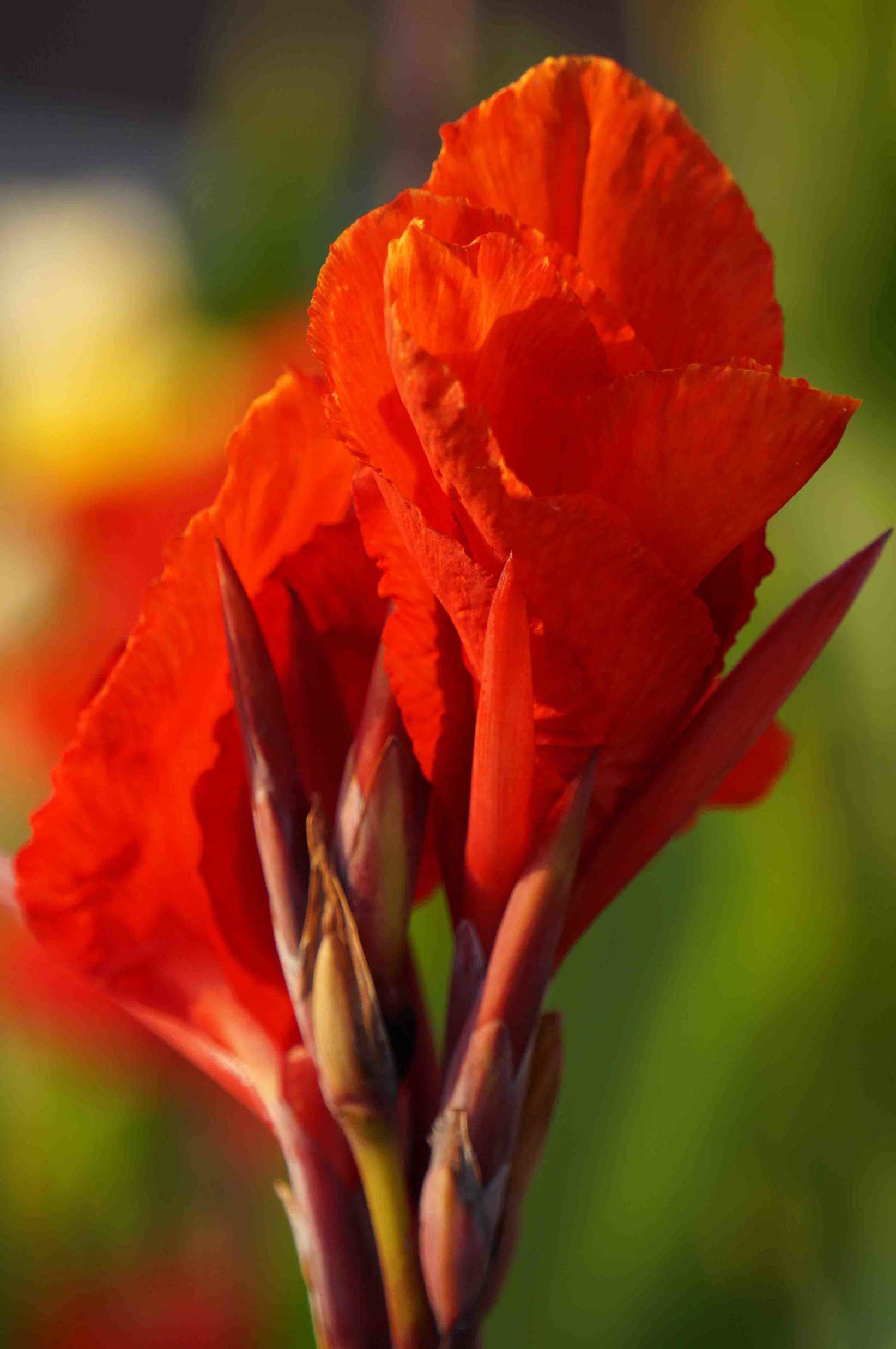 DSC00939 ����_��ת_����_����.jpg