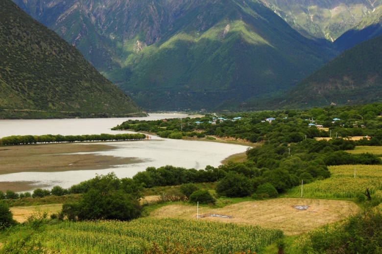 ����ӈm-����