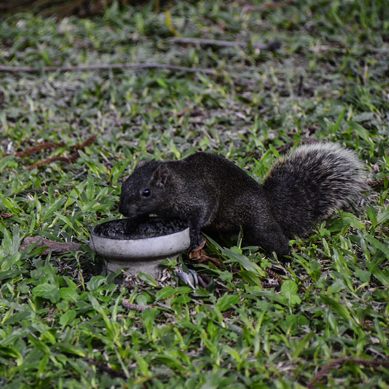 2014��12��13��̨�� a3371.jpg