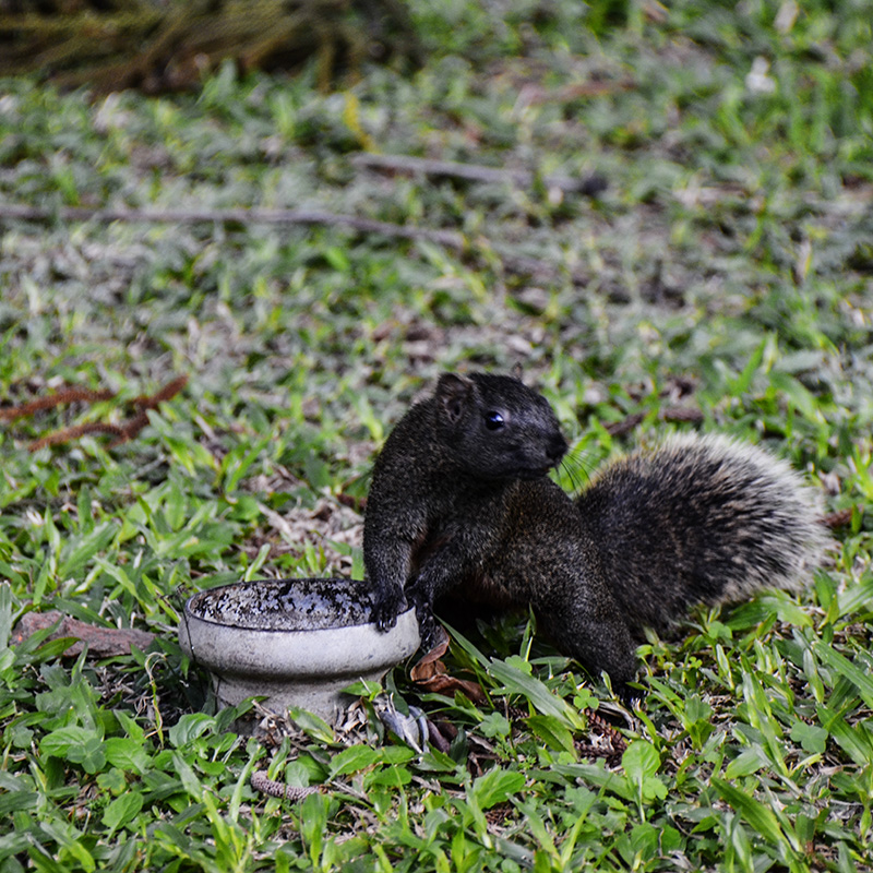 2014��12��13��̨�� a3381.jpg