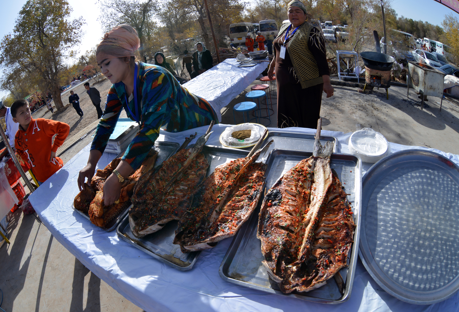 ���� DSC_10.JPG