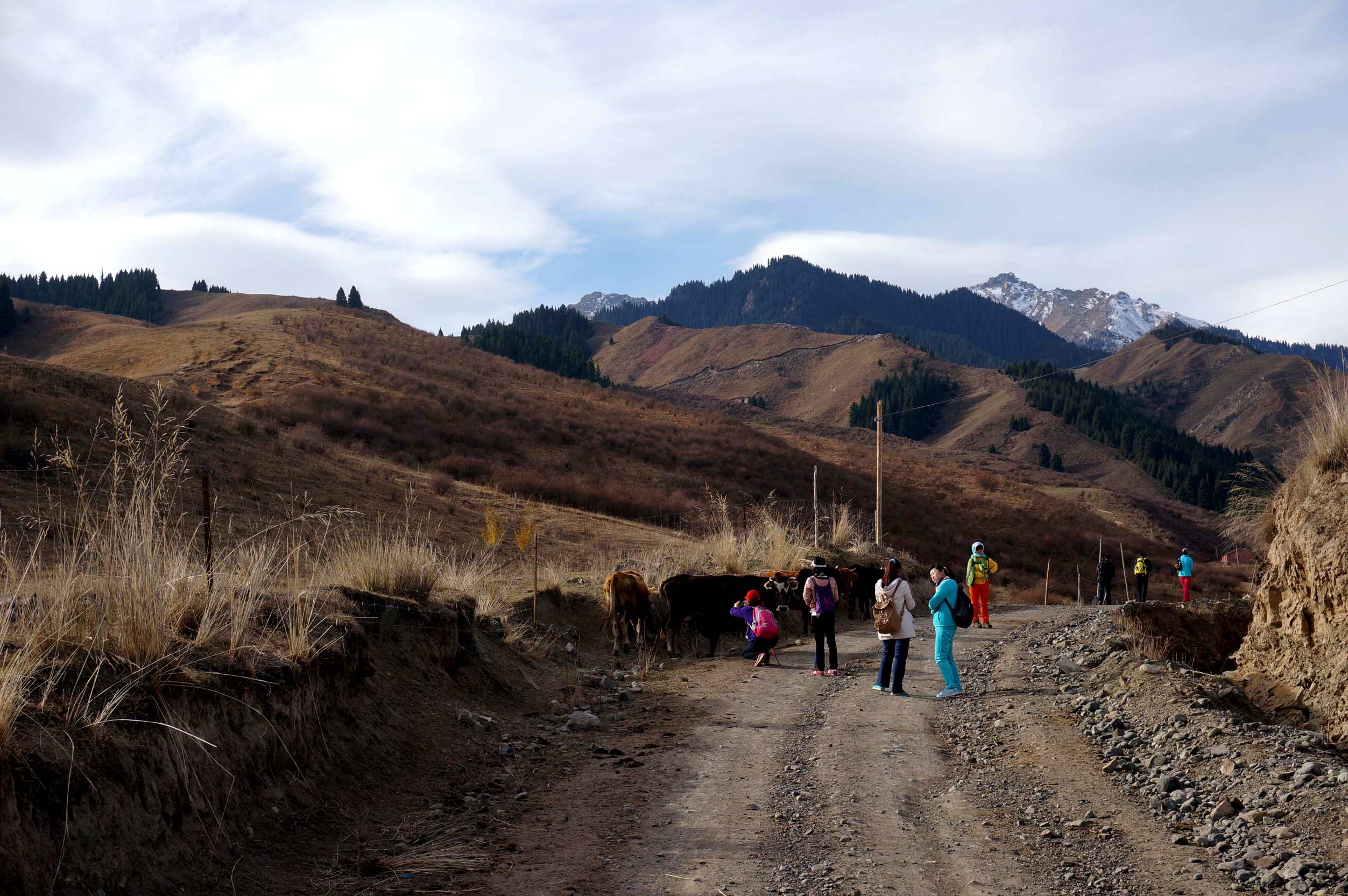 DSC01158 ����_����.jpg