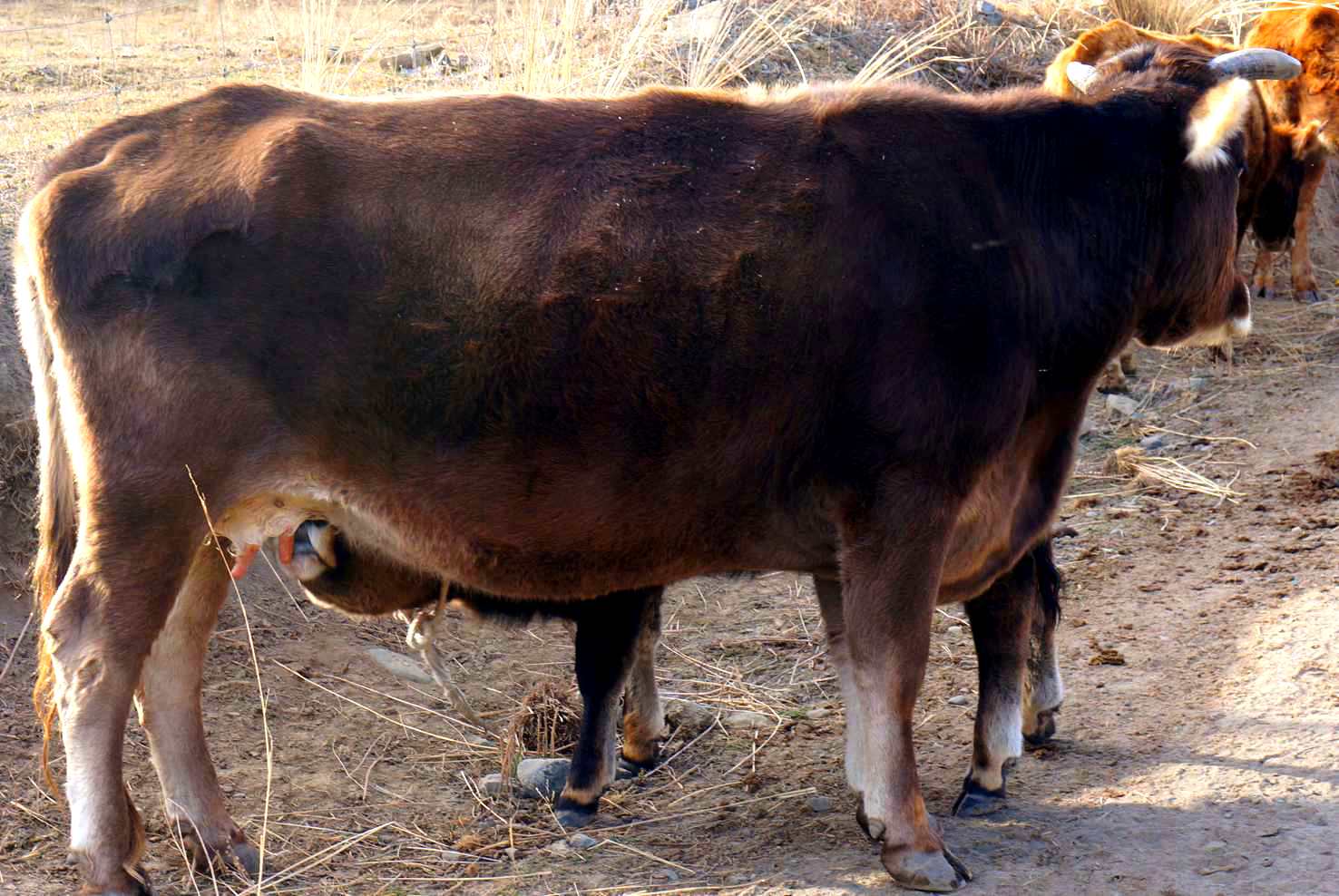 DSC01160 ����_����_����.jpg