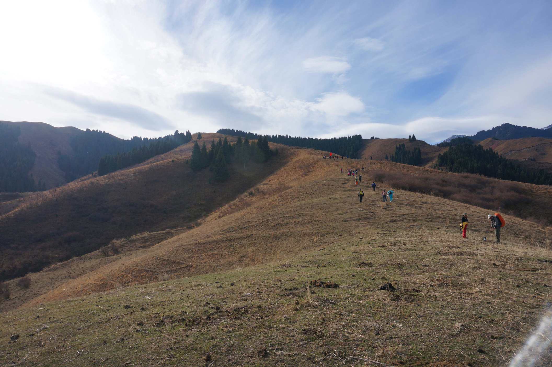 DSC01168 ����_����.jpg