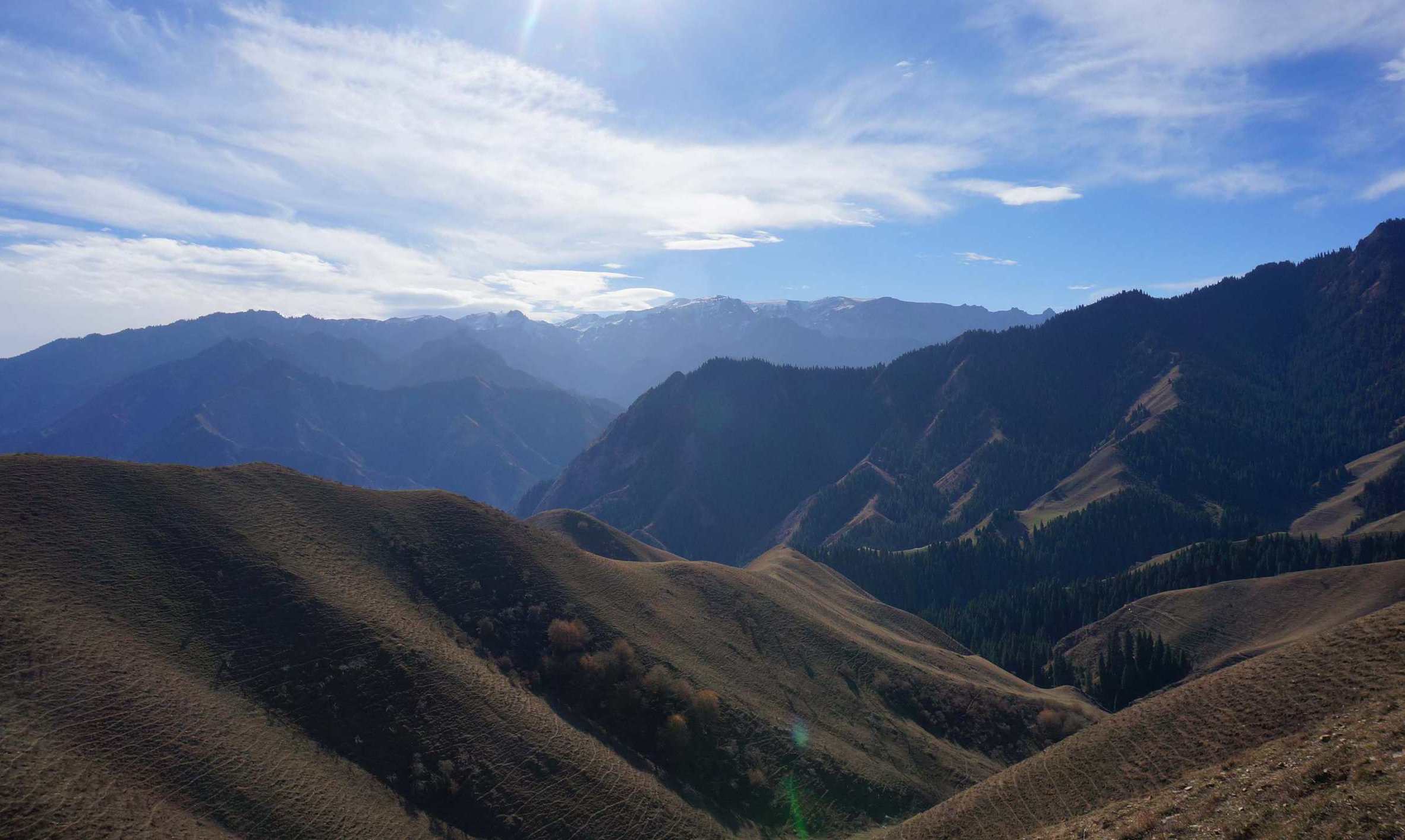 DSC01178 ����_����_����.jpg